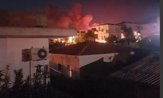 Φωτιά στη Νέα Μάκρη: Δίπλα σε σπίτια οι φλόγες – Πληροφορίες για εκκένωση