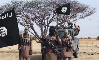 Ο στρατός της Νιγηρίας σκότωσε και τον νέο αρχηγό του Ισλαμικού Κράτους στη Δυτ. Αφρική