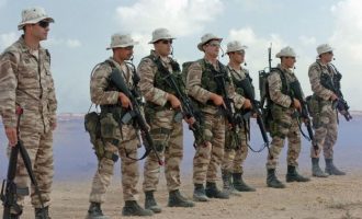 Πληροφορίες: Πόσοι Έλληνες στρατιώτες θα πάνε στο Μάλι