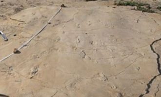 Στην Κρήτη οι αρχαιότερες πατημασιές προγόνων του ανθρώπου