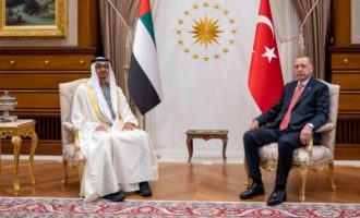 Τα Ηνωμένα Αραβικά Εμιράτα επενδύουν 10 δισ. δολάρια στην Τουρκία
