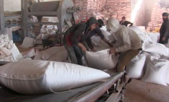 Οι Αμερικανοί στέλνουν 3.000 τόνους σπόρους σίτου στη βορειοανατολική Συρία