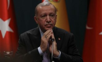Ο Ερντογάν «έφαγε» τον υπουργό Οικονομικών – Του φταίνε οι άλλοι του τρελάρα