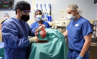 Μεταμόσχευση καρδιάς χοίρου σε άνθρωπο -«Θαύμα της επιστήμης» λέει ο γιος του λήπτη
