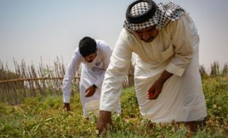 Επισιτιστική Ασφάλεια: Η «ξηρασία» φέρνει κοντά Τουρκία με Ιράκ