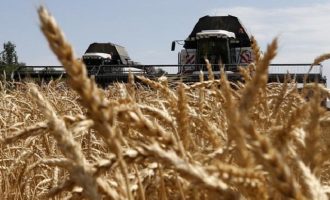 Ουκρανία: Οι κατοχικές Αρχές στη Ζαπορίζια θα πουλήσουν ουκρανικό σιτάρι στη Μέση Ανατολή