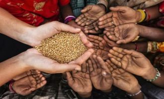 Εφιάλτης: Έρχεται μεγάλη πείνα – Παγκόσμια επισιτιστική κρίση