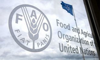 FAO: Οι φτωχοί θα πληρώσουν περισσότερα για λιγότερα τρόφιμα