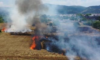 Στην Τουρκία καίγονται σταροχώραφα ενώ η επισιτιστική κρίση πλησιάζει επικίνδυνα