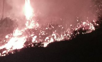 Η πυρκαγιά έφτασε έξω από την Ιτέα – Απειλούνται εργοστάσια