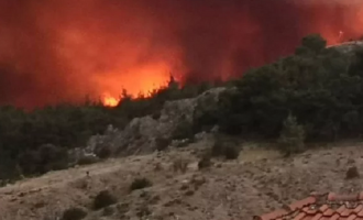 Πυρκαγιά στη Δαδιά: Μεγάλη αναζοπύρωση – Μήνυμα από το 112 για να εκκενωθεί το χωριό