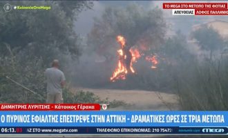 Πύρινη λαίλαπα στην Αθήνα – Η πρωτεύουσα καίγεται ακόμα μία φορά τα τελευταία δύο χρόνια