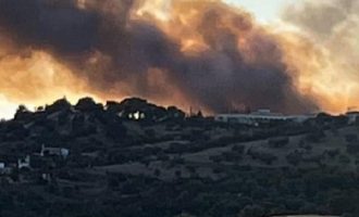 Μεγάλη πυρκαγιά στο Κρανίδι Αργολίδας – Εκκενώθηκε ξενοδοχείο