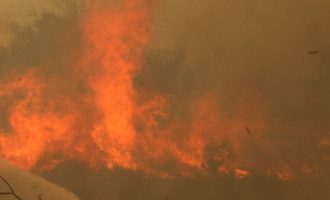 Πυρκαγιά στα Κρέστενα: Οι φλόγες στις αυλές των σπιτιών – Απειλείται και το χωριό Γρύλλος