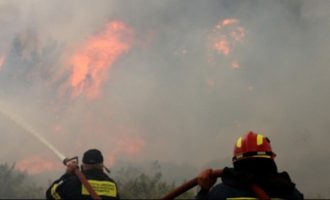 Έβρος: Ανεξέλεγκτη η φωτιά στο Σουφλί – Σε επιφυλακή ο στρατός