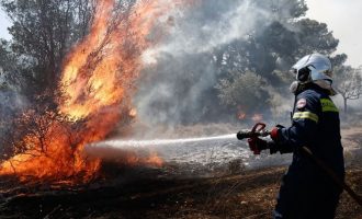 Μαίνεται η φωτιά στη Λέσβο – Kαμένα σπίτια και επιχειρήσεις στα Βατερά – Τρία μέτωπα