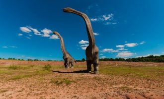 Πορτογαλία: Ο μεγαλύτερος δεινόσαυρος στην Ευρώπη βρέθηκε σε αυλή σπιτιού στο Πομπάλ