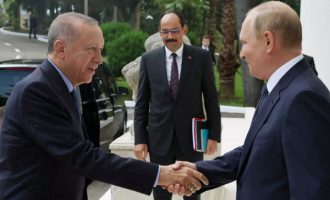Μας «τρολάρουν»; Πούτιν σε Ερντογάν: «Οι Ευρωπαίοι θα πρέπει να σας ευγνωμονούν»