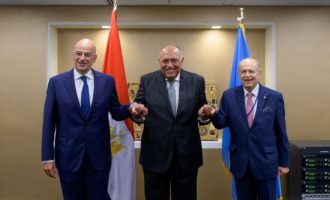 Νίκος Δένδιας από ΟΗΕ: Ελλάδα και Αίγυπτος «έχουμε την ίδια αντιμετώπιση απέναντι στην τουρκική επιθετικότητα»