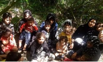 Επανάληψη σκηνικού στον Έβρο: Περίπου 400 μετανάστες σε ελληνική νησίδα