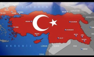 Η Λίντσεϊ Σνελ «προειδοποιεί»: Η τουρκική εισβολή και κατοχή στη Συρία θεωρείται υλοποίηση του τουρκικού «Εθνικού Όρκου»