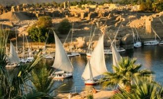 Η Αίγυπτος φυτεύει 100 εκατ. δέντρα