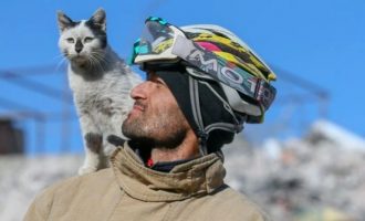 Σεισμός Τουρκία: Γάτα που βγήκε ζωντανή από τα ερείπια δεν εγκαταλείπει τον διασώστη της