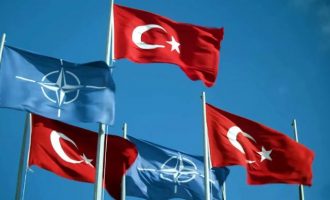 Τζεμ Γκουρντενίζ: Η Τουρκία να φύγει από το ΝΑΤΟ – Συμμαχία με Ρωσία, Κίνα και Ινδία