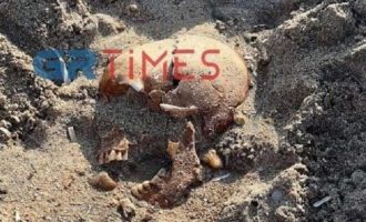 Λουόμενοι βρήκαν νεκροκεφαλή σε παραλία της Χαλκιδικής