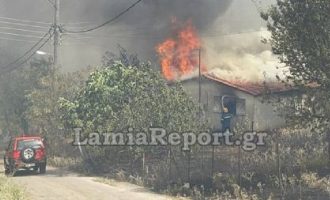 Φωτιά στη Λαμία: Κάηκαν σπίτια – Εκκενώνεται το βόρειο τμήμα της πόλης