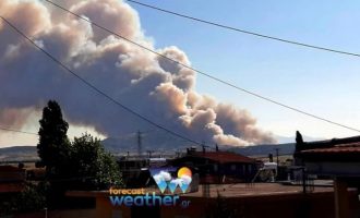 Ανεξέλεγκτη φωτιά στο πευκοδάσος του Κιθαιρώνα στα Δερβενοχώρια