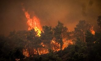 Ολονύχτια μάχη με τις φλόγες σε Ρόδο, Κέρκυρα, Κάρυστο και Δερβενάκια