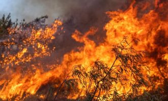 Φωτιά στη Μαγνησία: Κι άλλος νεκρός – Απανθρακωμένος κτηνοτρόφος στις Φέρρες