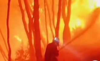 Φωτιά Ρόδος: «Φύγε, δεν κόβεται!» – Ανατριχιαστικός διάλογος πυροσβεστών