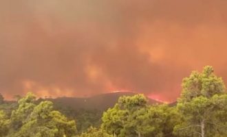RND: Καίγονται ξανά τα δάση στην Ελλάδα