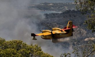 Πυρκαγιές: Μεγάλες αναζωπυρώσεις σε Δυτική Αττική, Ρόδο και Λευκόχωμα Λακωνίας