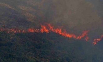Συναγερμός για τις απανωτές  φωτιές σε όλη τη χώρα – Έκτακτη σύσκεψη υπό τον Κικίλια