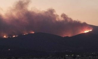 Καίγεται η Ελλάδα: Ανεξέλεγκτα τα μέτωπα σε Φυλή, Ασπρόπυργο, Δαδιά, Αλεξανδρούπολη – 20 νεκροί