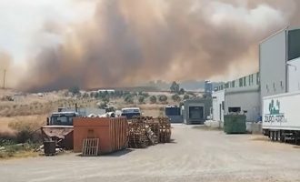 Αλεξανδρούπολη: Καταγγελία ότι η φωτιά έφτασε σε εργοστάσιο και μέσα δούλευαν εργάτες (βίντεο)