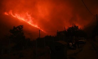 Ανεξέλεγκτη η φωτιά στην Αλεξανδρούπολη: Εκκενώθηκε το νοσοκομείο της πόλης