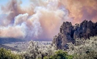 Φωτιά Βοιωτία: 10 χλμ το μέτωπο των δύο πυρκαγιών στα παράλια στον Κορινθιακό Κόλπο