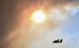 Φωτιά στην Έβρο: Εκκενώνονται αποθήκες με πυρομαχικά στις Σάπες