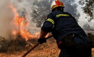 Συνελήφθη Τούρκος για την πυρκαγιά στο όρος Αιγάλεω – Ο εμπρηστής ομολόγησε