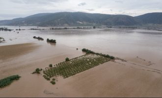 Απίστευτη υποκρισία: Η κυβέρνηση σταματάει τους πλειστηριασμούς στις πλημμυρισμένες περιοχές της Θεσσαλίας