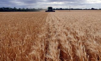Γαλλία: «Καταστροφή» για την ευρωπαϊκή γεωργία η ένταξη της Ουκρανίας στην ΕΕ