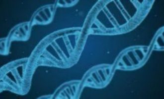 Το αρχαίο DNA αποκαλύπτει το λόγο για τα υψηλά ποσοστά σκλήρυνσης κατά πλάκας στην Ευρώπη
