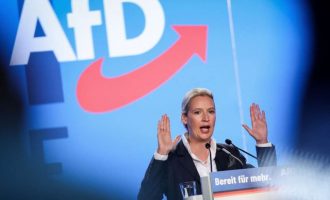 Στο 22% η ακροδεξιά στη Γερμανία – Το AfD δεύτερο κόμμα στις δημοσκοπήσεις
