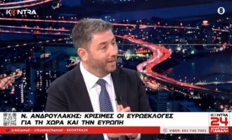 Νίκος Ανδρουλάκης: Ο Μητσοτάκης «τροχονόμος της ακρίβειας»