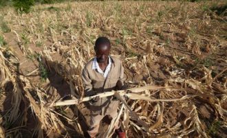 Ζιμπάμπουε: Kίνδυνος λιμού λόγω ξηρασίας – Πάνω από το ήμισυ του πληθυσμού θα χρειαστεί επισιτιστική βοήθεια