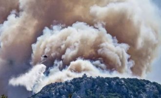 Δύο μεγάλες πυρκαγιές στην Αττική – Αποπνιχτική η ατμόσφαιρα